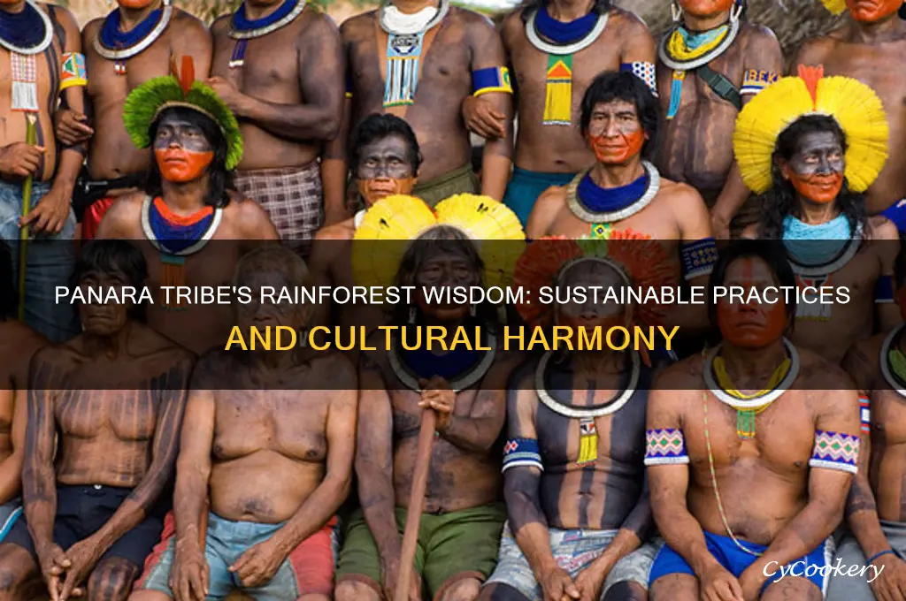 how do the panara tribe use the rainforest