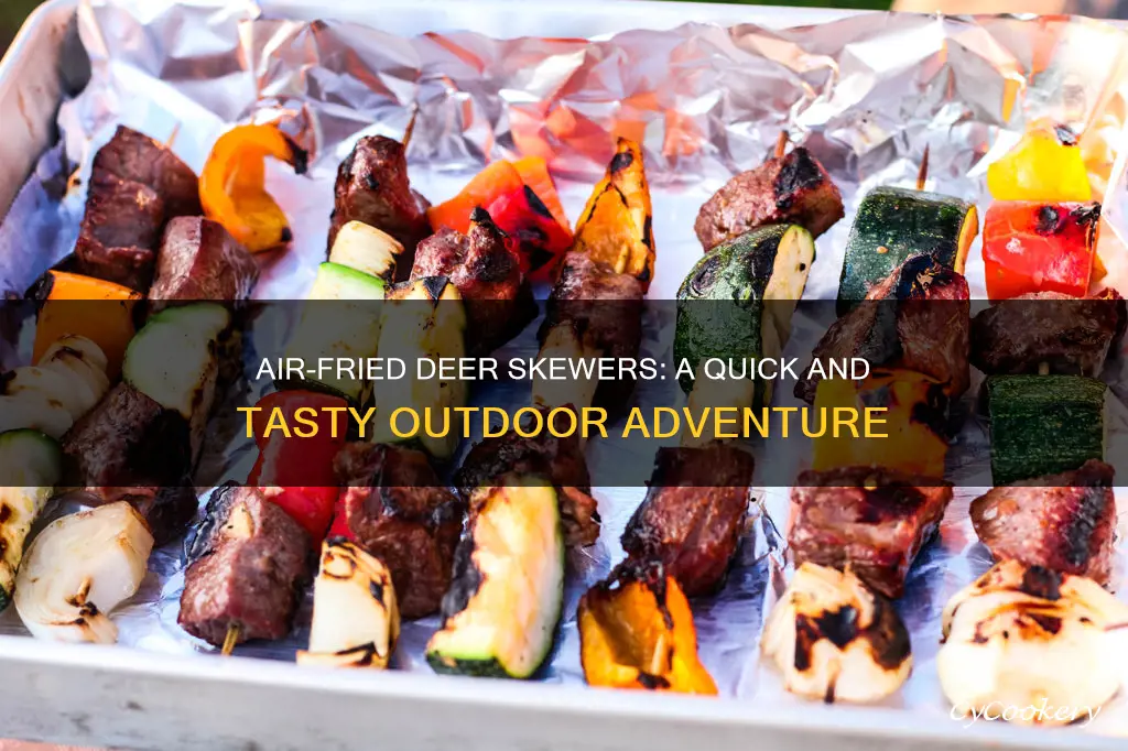 how do u cook deer shushcobobs in air fryer