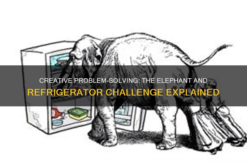 how do u put an elephant in a refrigerator