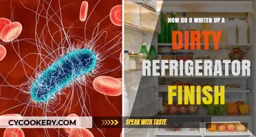 Revive Your Fridge: Easy Tips to Whiten a Dirty Refrigerator Finish