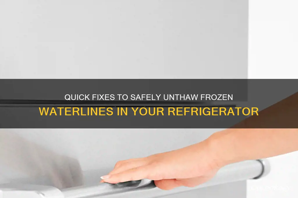 how do unthaw the waterlines in my refrigerator
