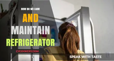 Essential Tips for Caring and Maintaining Your Refrigerator Efficiently