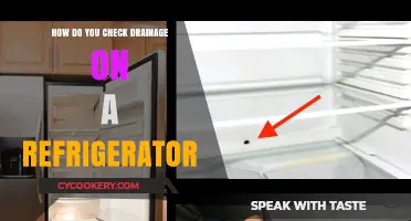 How to Inspect and Maintain Your Refrigerator's Drainage System
