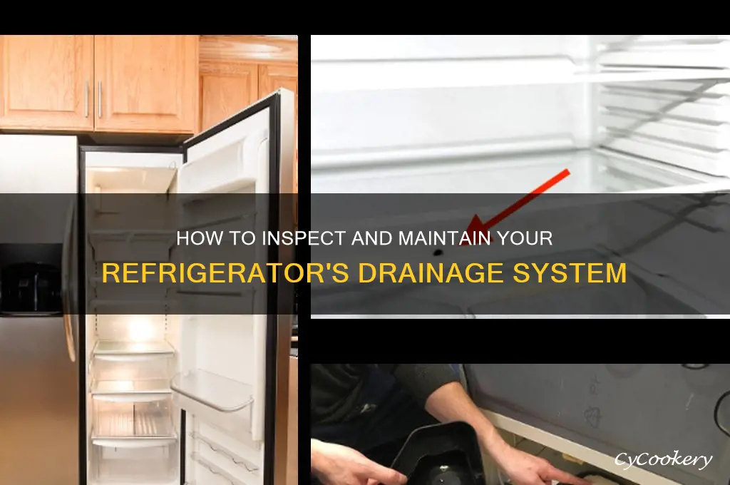 how do you check drainage on a refrigerator
