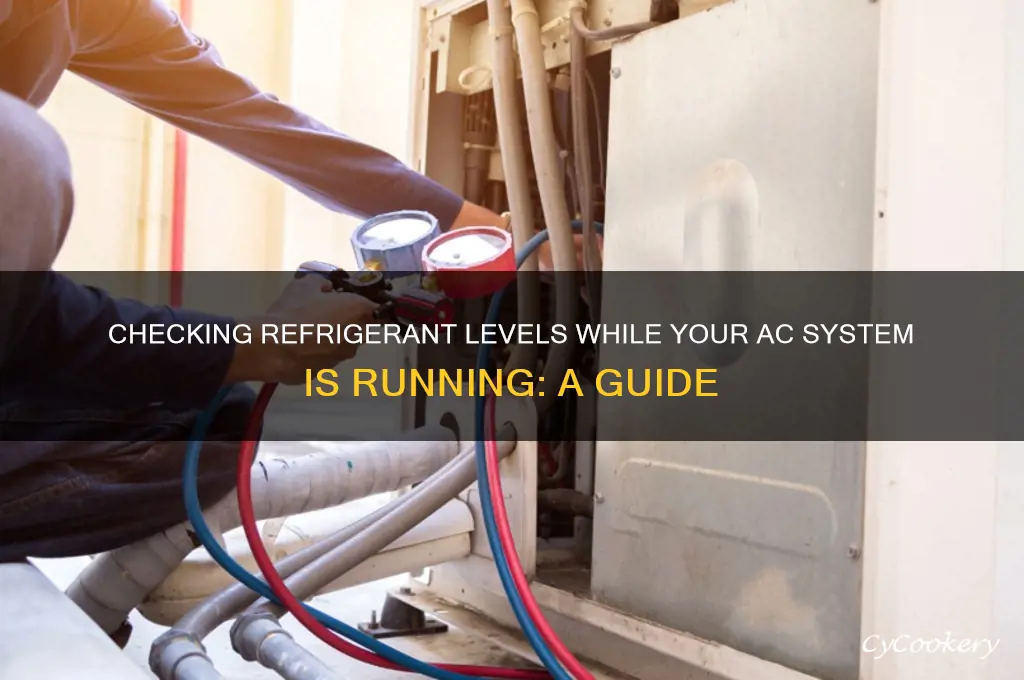 how do you check refrigerant level with system running