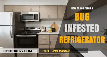 Effective Steps to Clean and Sanitize a Bug-Infested Refrigerator