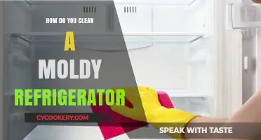 Effective Steps to Clean and Deodorize a Moldy Refrigerator