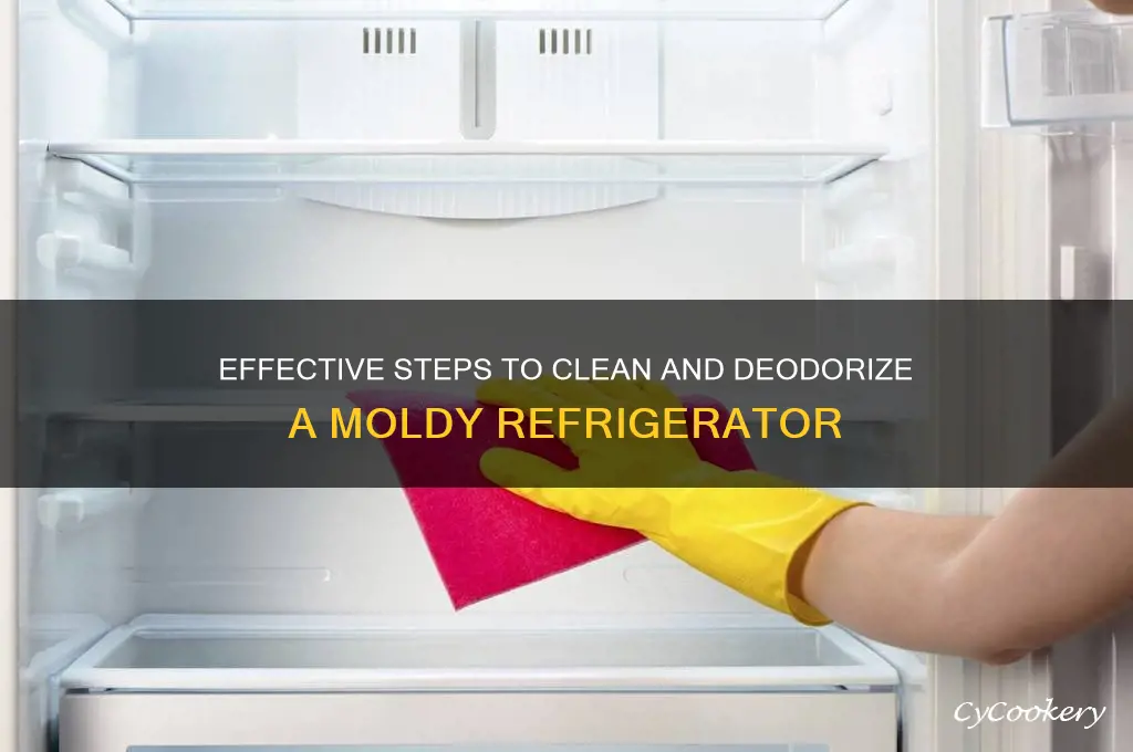 how do you clean a moldy refrigerator