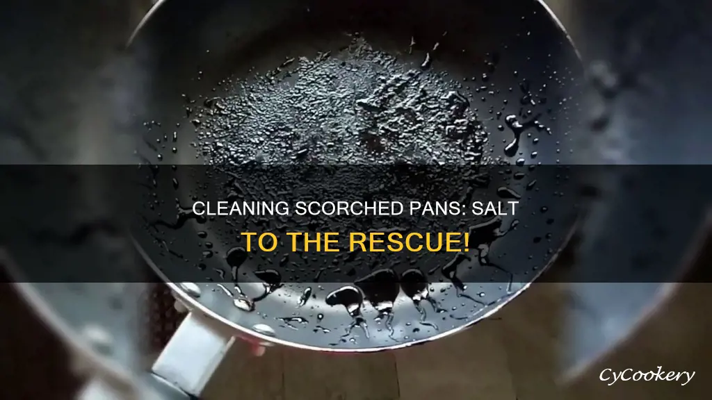 how do you clean a scorched pan with salt