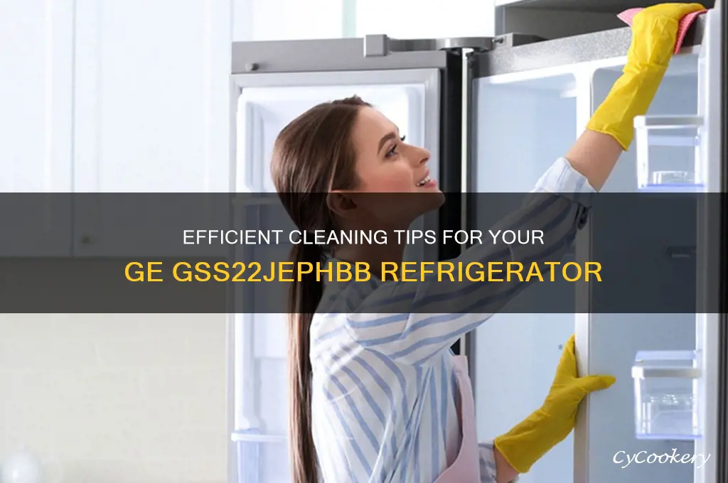 how do you clean general electric refrigerator gss22jephbb