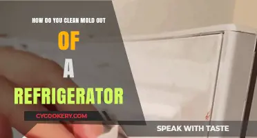 Effective Steps to Remove Mold from Your Refrigerator Safely