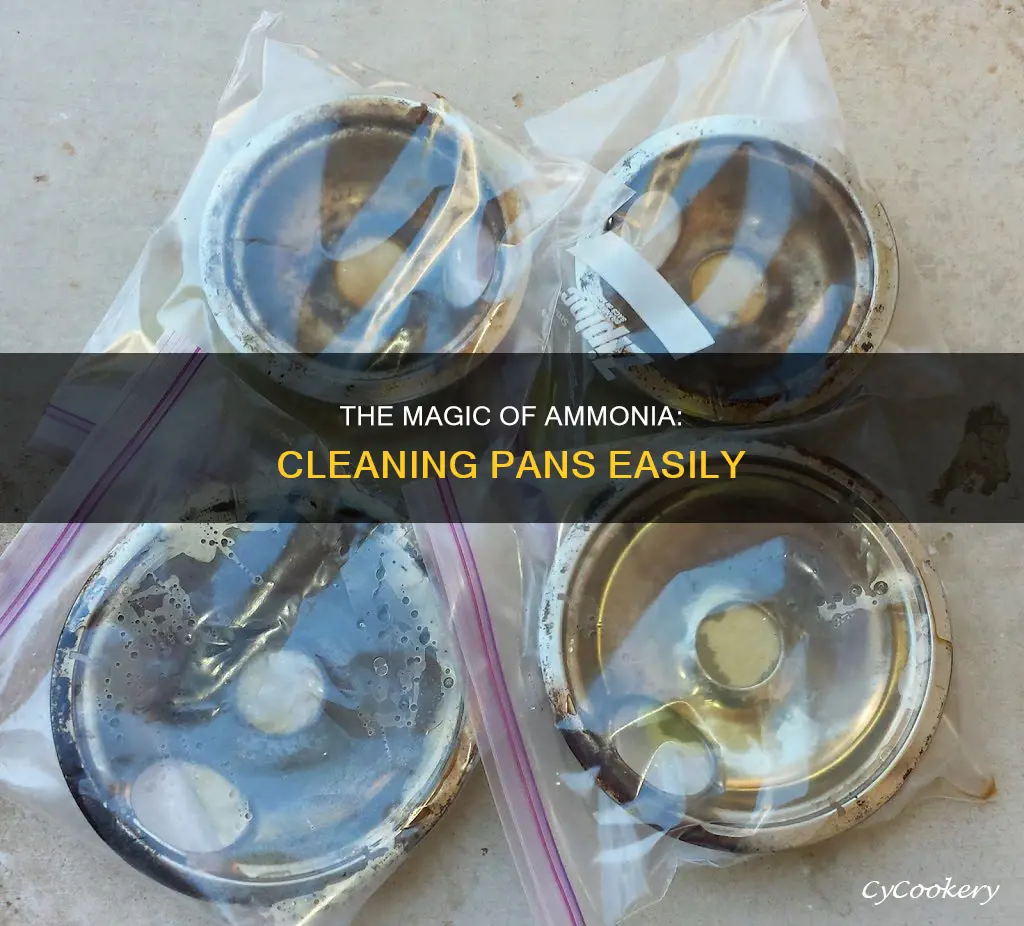 how do you clean pans with ammonia