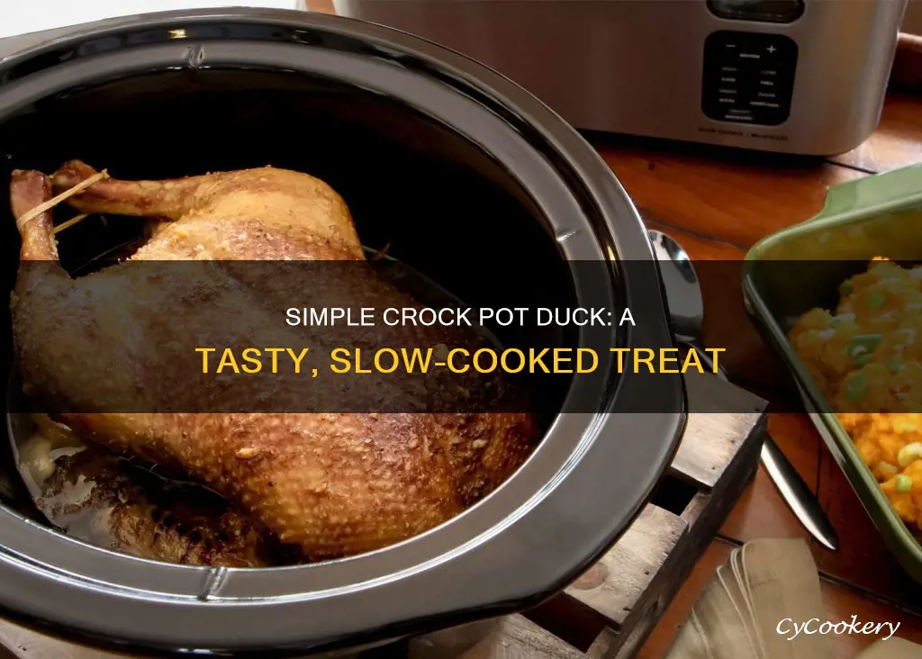 how do you cook a duck in a crock pot