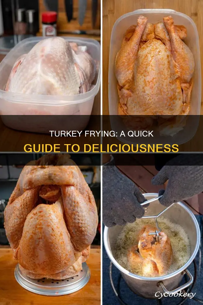 how do you cook a turkey in a turkey fryer