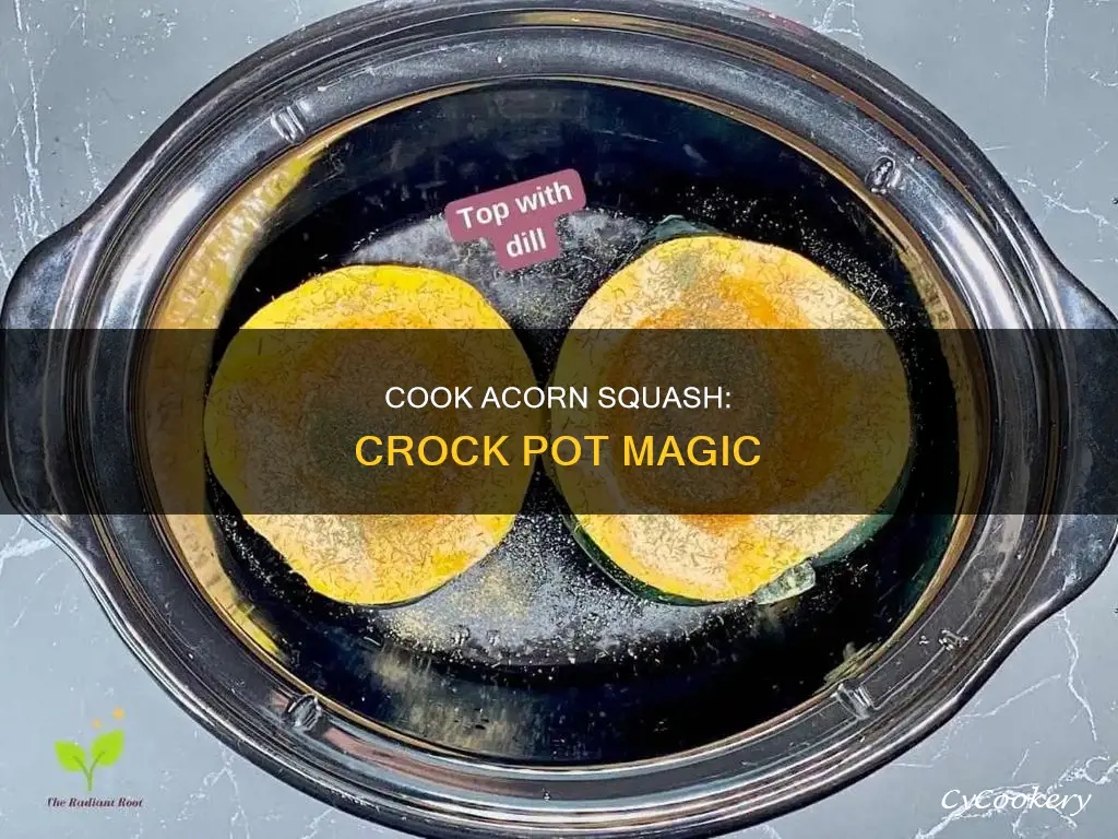 how do you cook acorn squash in a crock pot