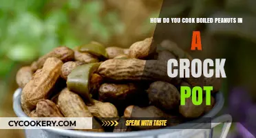 Crock-Pot Boiled Peanuts: Easy, Tasty, and Healthy!