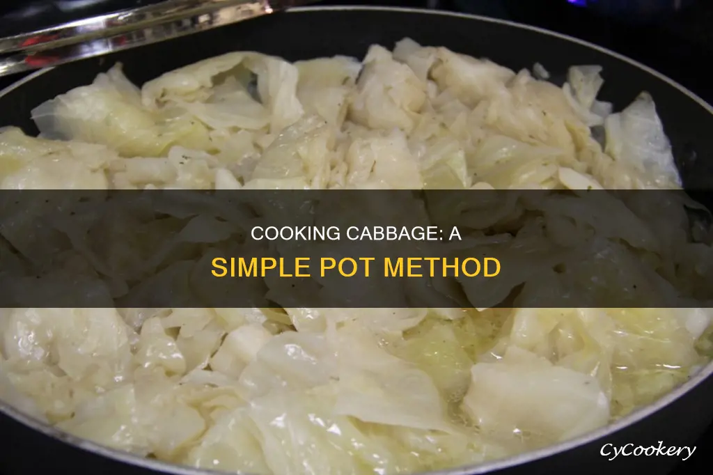 how do you cook cabbage in a pot