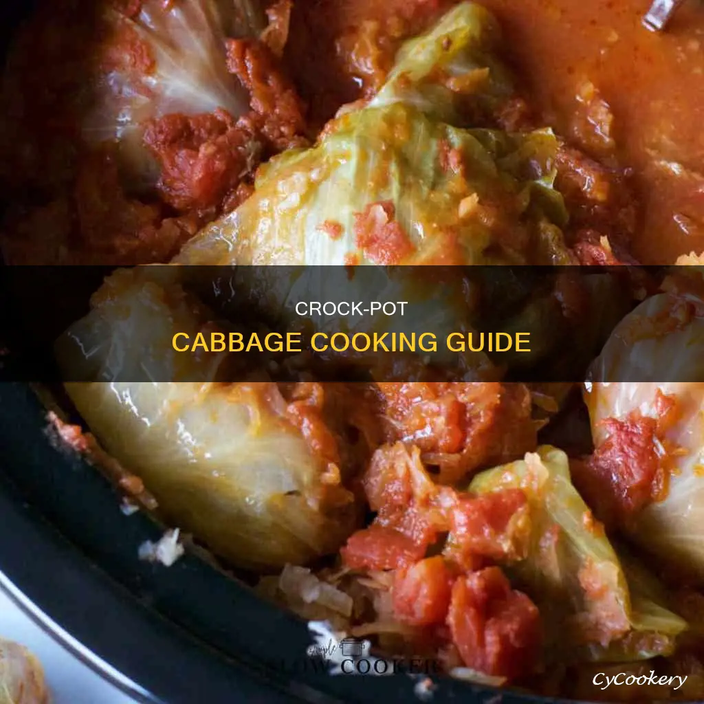 how do you cook cabbage in an express crock pot