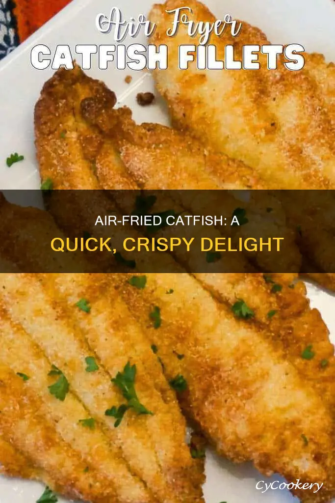 how do you cook catfish in the air fryer