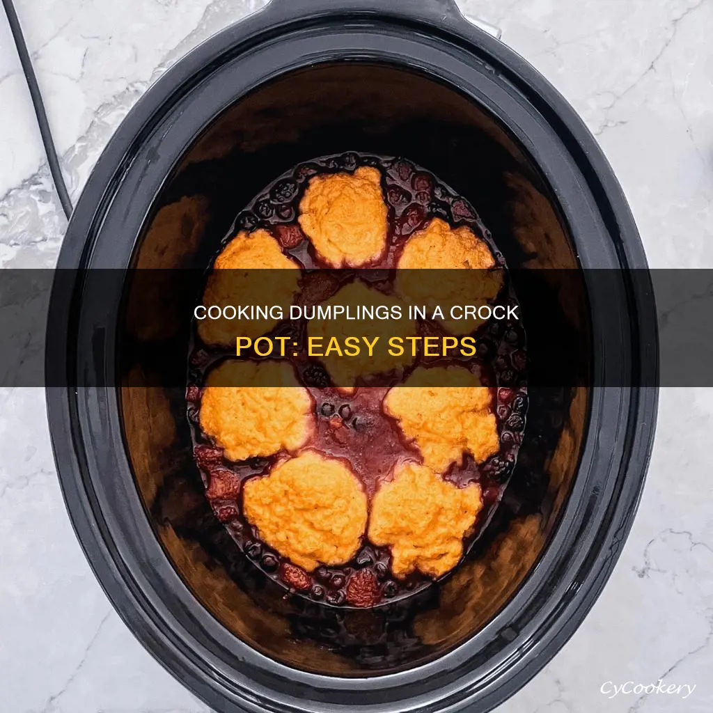 how do you cook dumplings in a crock pot