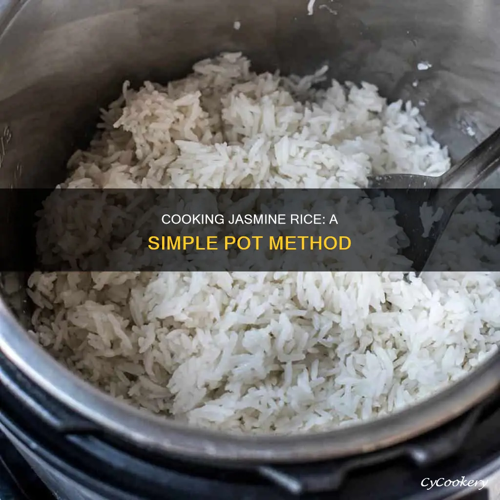 how do you cook jasmine rice in a pot