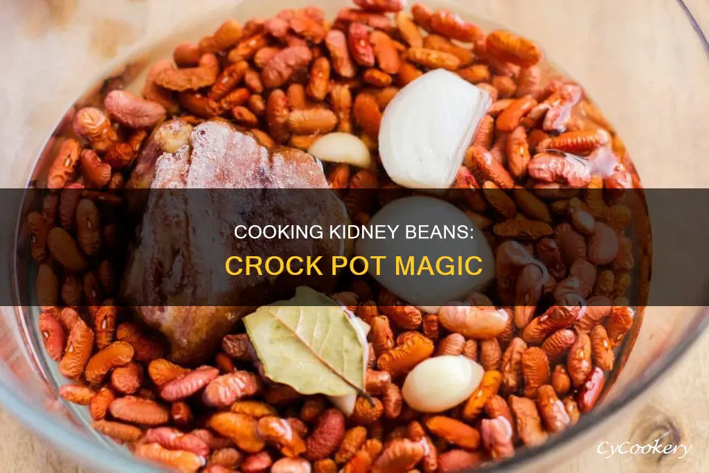 how do you cook kidney beans in a crock pot