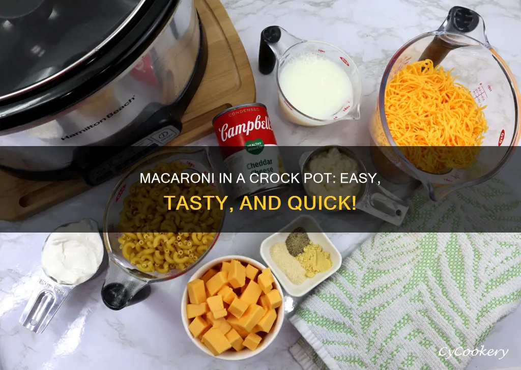 how do you cook macaroni in a crock pot