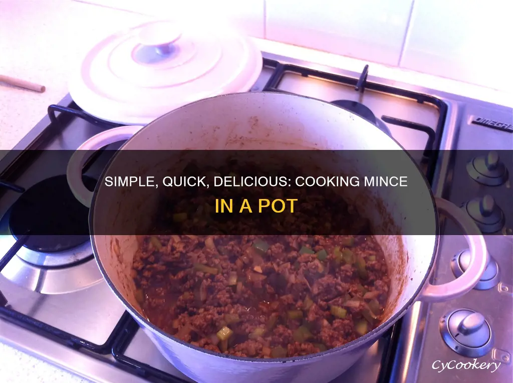 how do you cook mince in a pot