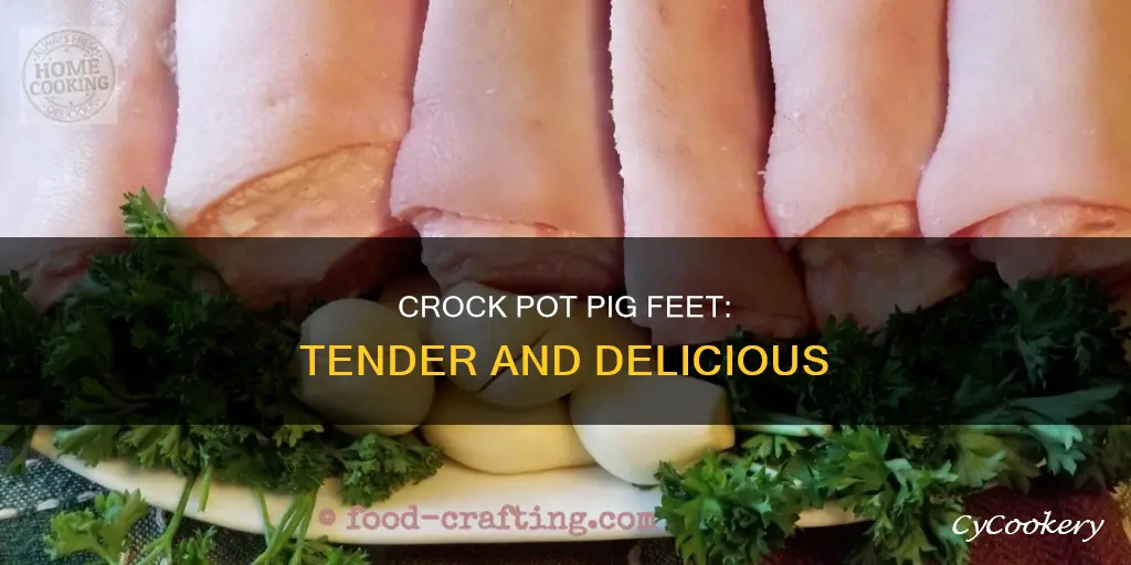 how do you cook pig feet in a crock pot