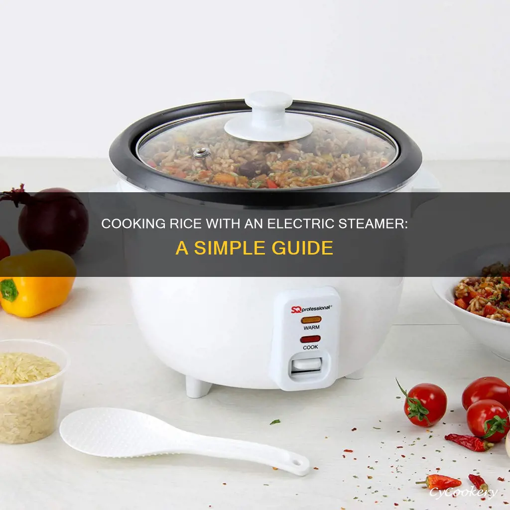 how do you cook rice in electric steamer