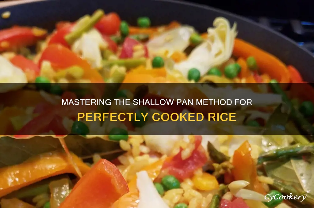 how do you cook rice using the shallow pan method