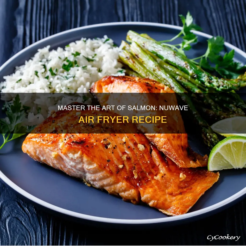 how do you cook salmon in a nuwave air fryer