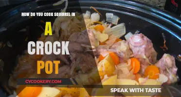 Crock-Pot Cooking: Preparing Squirrel the Slow Way