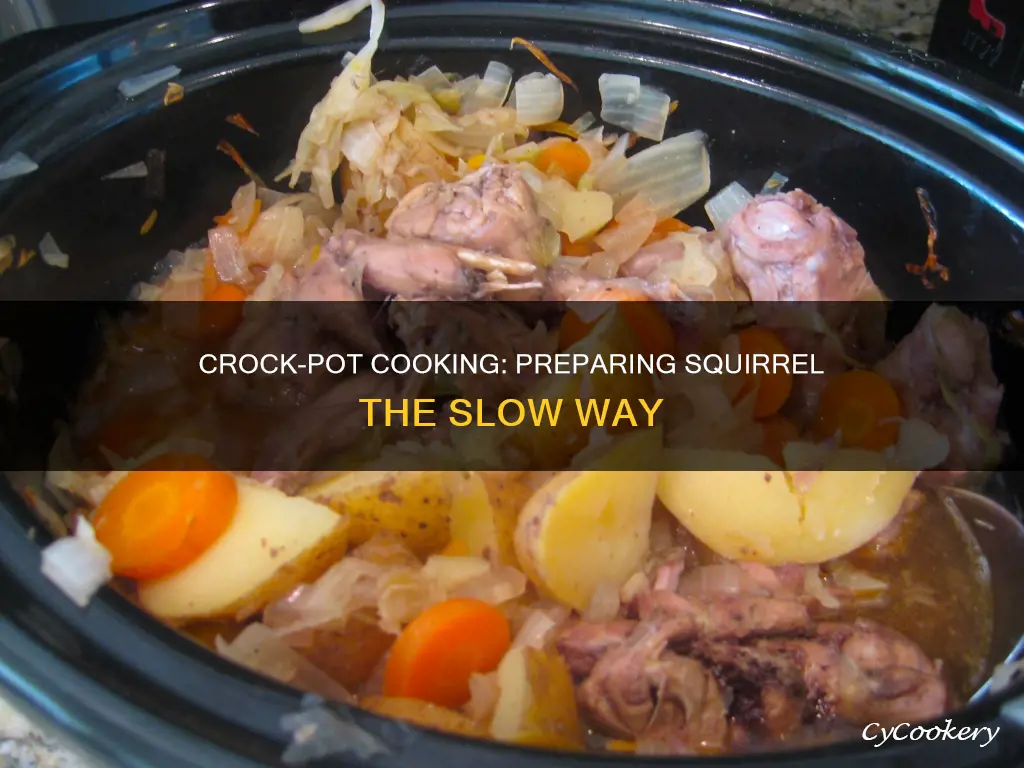 how do you cook squirrel in a crock pot