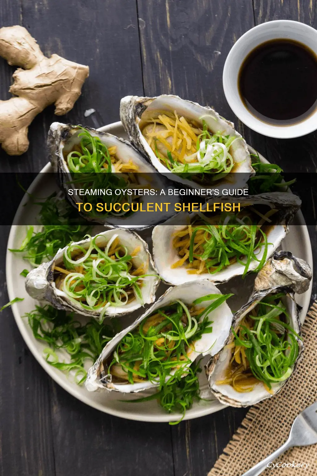 how do you cook steamed oysters