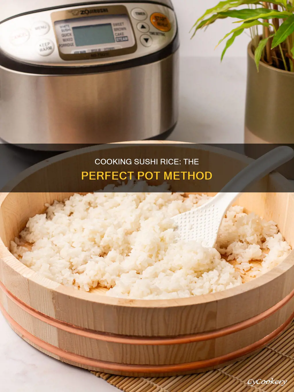 how do you cook sushi rice in a pot