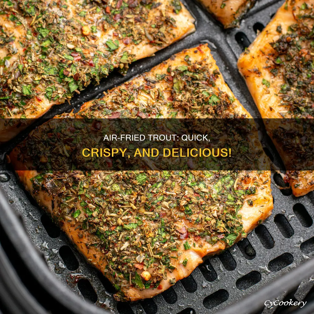 how do you cook trout in an air fryer