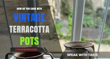 Terracotta Pot Cooking: A Vintage Guide