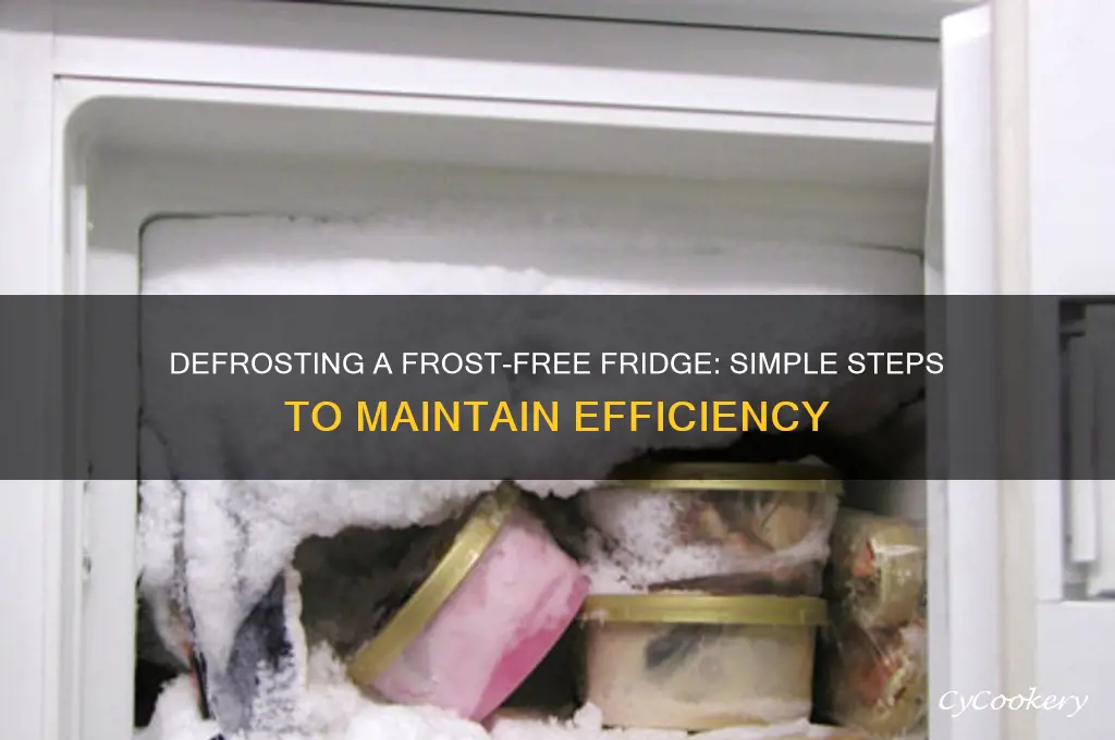 how do you defrost a frost free refrigerator