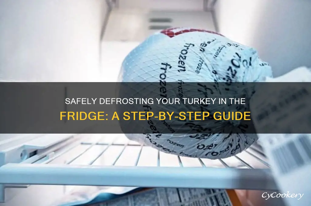 how do you defrost a turkey in the refrigerator