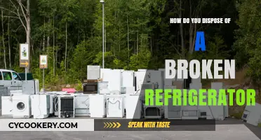 Eco-Friendly Ways to Dispose of a Broken Refrigerator Safely