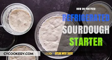 Feeding Your Refrigerated Sourdough Starter: Simple Steps for Active Growth