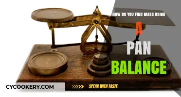 Finding Mass Made Easy: A Pan Balance Guide