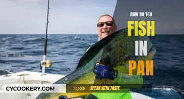 Fishing in a Pan: The Ultimate Guide