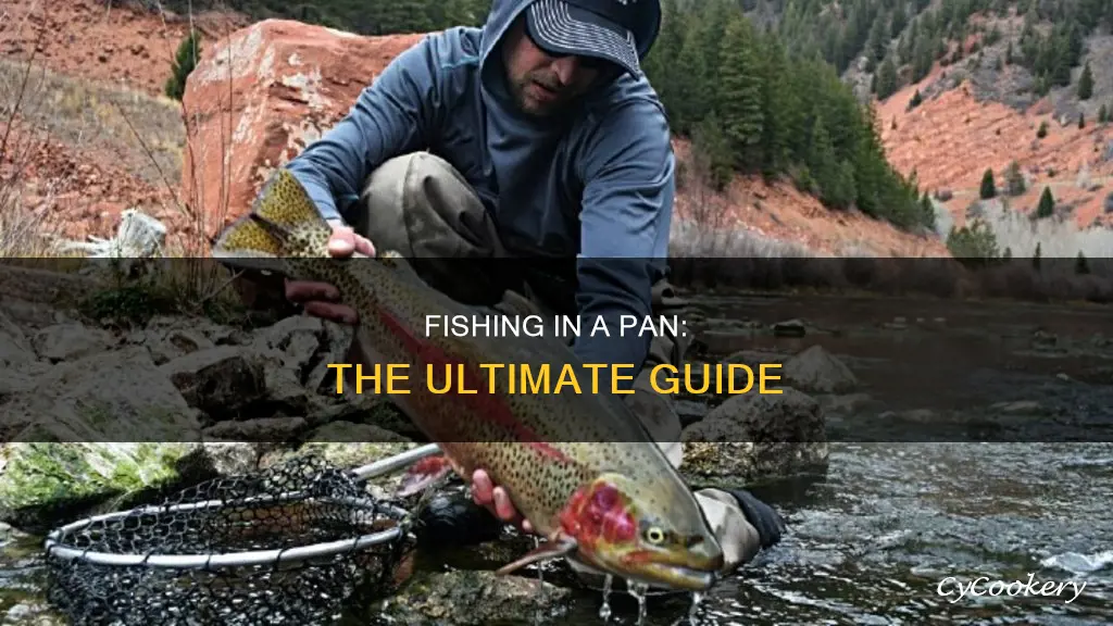 how do you fish in pan