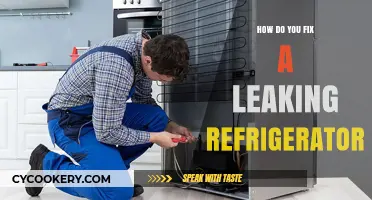 Quick Fixes for a Leaking Refrigerator: Step-by-Step Guide