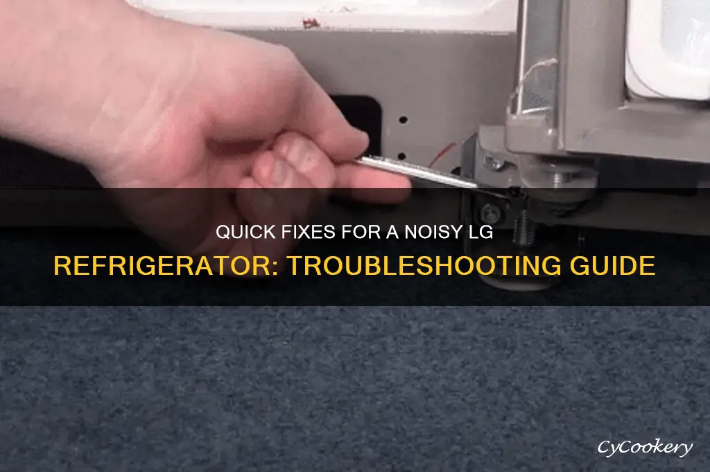 how do you fix a noisy lg refrigerator