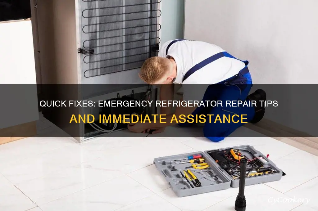 how do you get emergency help for a refrigerator
