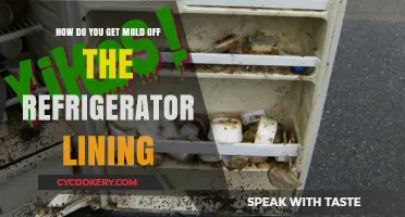 Effective Ways to Remove Mold from Your Refrigerator Lining