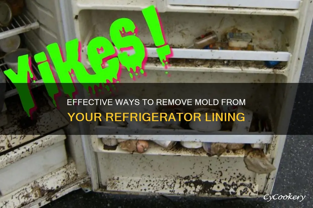 how do you get mold off the refrigerator lining